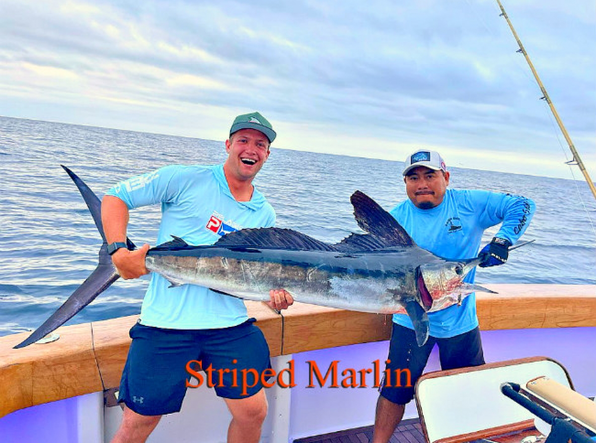 Fishing Finally Kicks-in, Water Temps Up, Black Marlin Join the Party, Tuna Too!